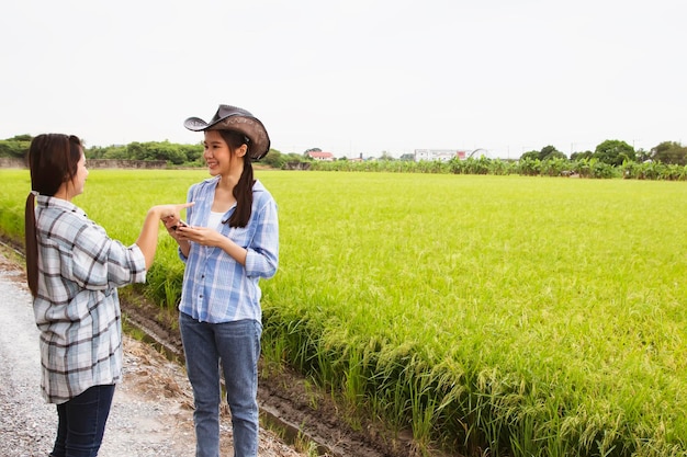여성 농부들은 밭에서 여성 농업 현인에게 조언을 구하여 재배를 돕습니다.