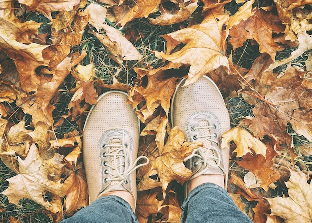 Female feet in the leather shoes among autumn leaves