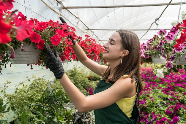 Female florist in overalls takes care of flowers in a greenhouse. springtime