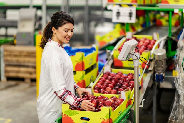 A female fruit production worker measuring apples in crates in facility