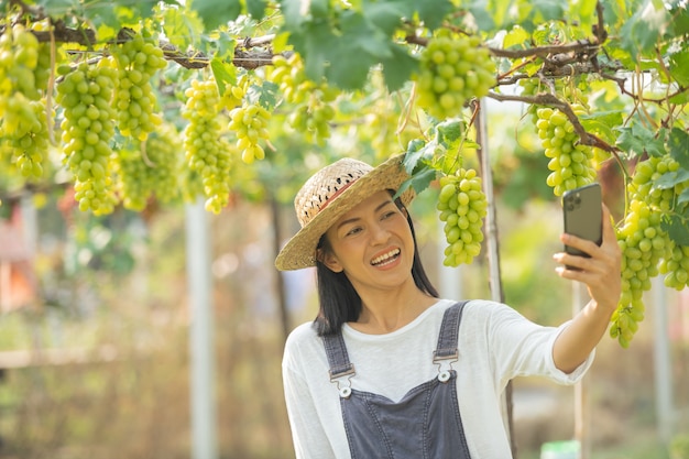 Female in the garden using mobile phone to take orders for her grape.