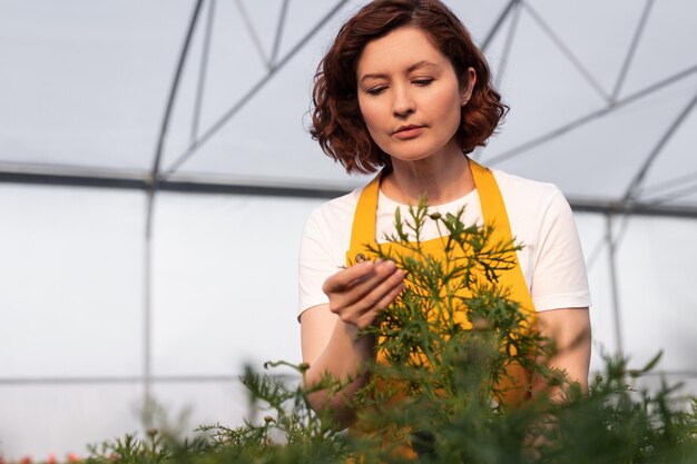 Foto giardiniere femminile che controlla pianta verde