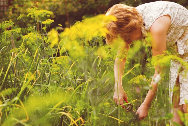 Foto il giardiniere femminile taglia le erbe nei giardini
