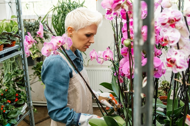 Foto giardiniere femminile esaminando piantine di fiori donna al lavoro