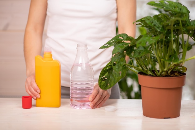 女性の庭師は、木製のテーブルで鉢植えの植物を肥やすホームガーデニング給餌コンセプト植物