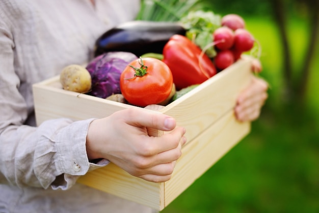農場から新鮮な有機野菜の木箱を保持している女性庭師