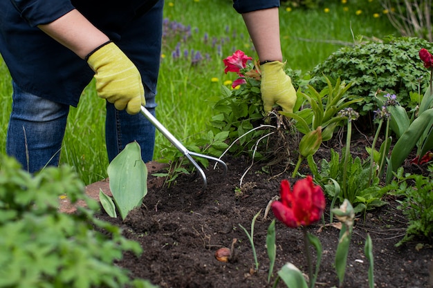 女性庭師は植物を植えるために花の中で花壇の土壌を緩めます