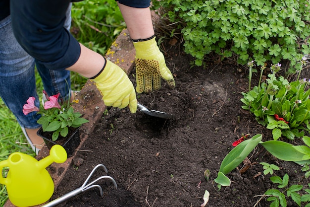 Female gardener loosens soil in flowerbed among flowers for planting plants