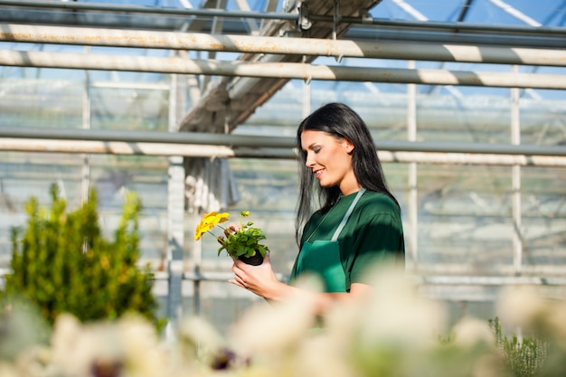 Giardiniere femminile nel giardino del mercato