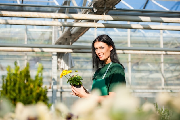 Giardiniere femminile nel giardino del mercato