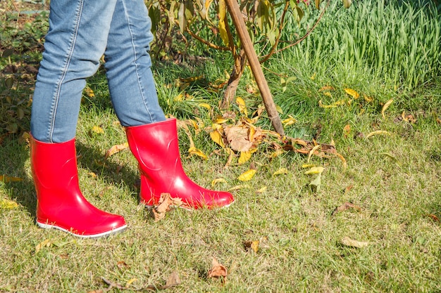 赤いゴム長靴を履いた女性の庭師は、秋に熊手で庭を掃除します。