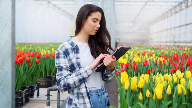 女性の温室労働者がチューリップを検査し、タブレットにデータを入力します