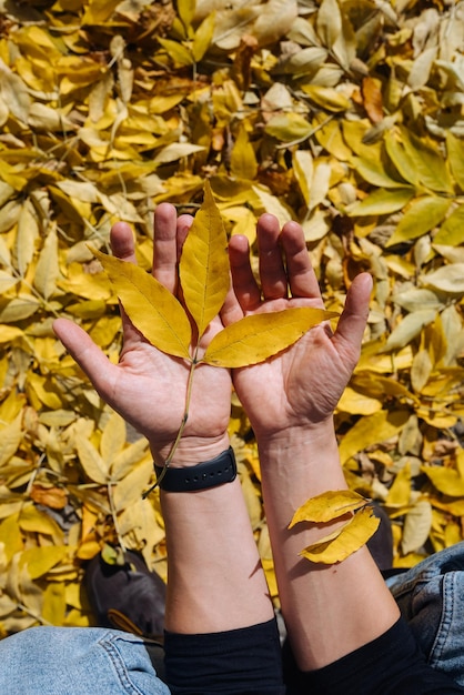 Female hand in autumn park enjoying autumn and holding a leaf