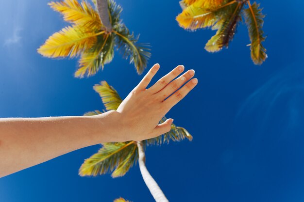 Foto mano femminile su uno sfondo di cielo blu con palme in una giornata di sole
