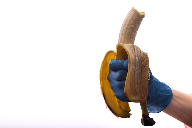 Foto mano femminile in blu usa e getta a sinistra che tiene banana aperta isolata su sfondo bianco igiene o alimentazione sana nel concetto di cucina spazio di copia