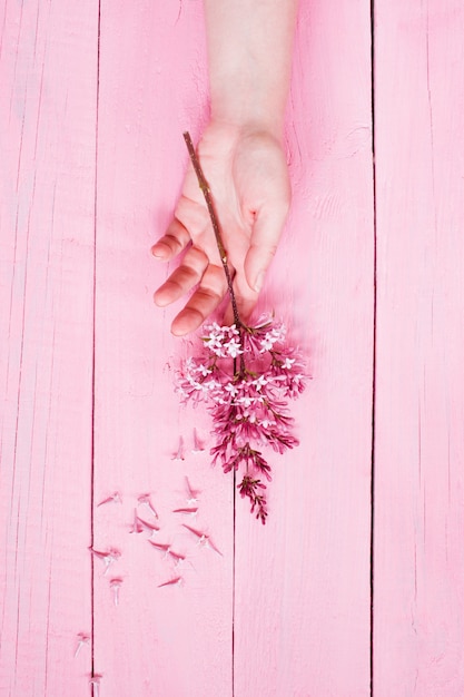 Foto la mano femminile cade il fiore del lillà