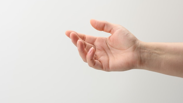 Female hand extended forward with open empty palm on white background