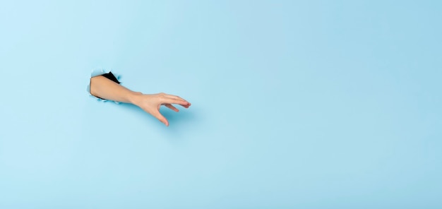 Female hand gesturing reach out catch something on blue banner background. Panoramic image