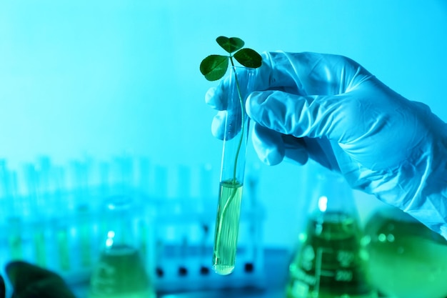 Female hand in glove holding test tube with plant at laboratory