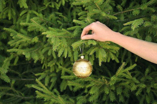 Palla di natale appesa a mano femminile sul ramo di abete