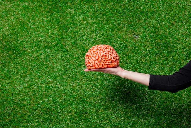 Female hand hold human brain over green grass 