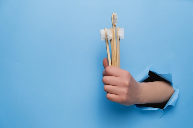 Female hand holding bamboo eco toothbrushes through a torn blue paper wall.