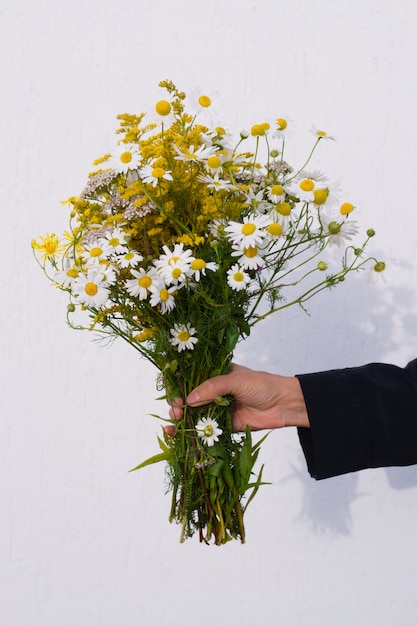 明るい背景に黄色の草原の花とヒナギクの美しい花束を持っている女性の手