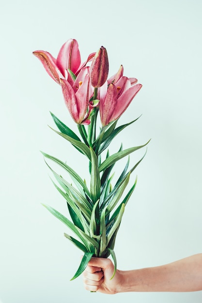 Female hand holding bouquet with lilies on light background