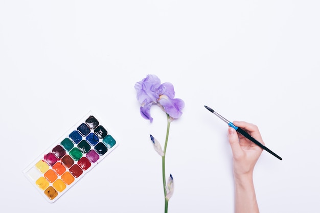 Female hand holding a brush for drawing with watercolors