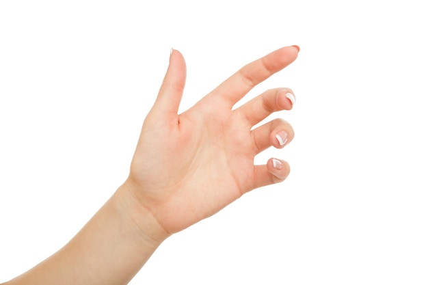 female hand holding card, phone or other, close-up, cutout, isolated on white background.