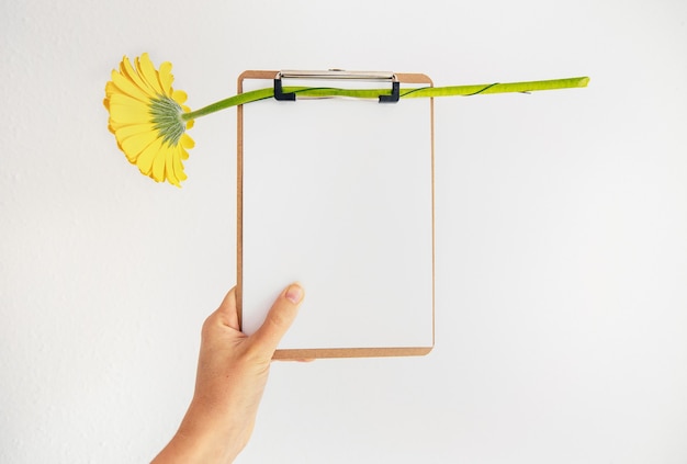 Female hand holding clipboard with empty sheet and yellow gerbera