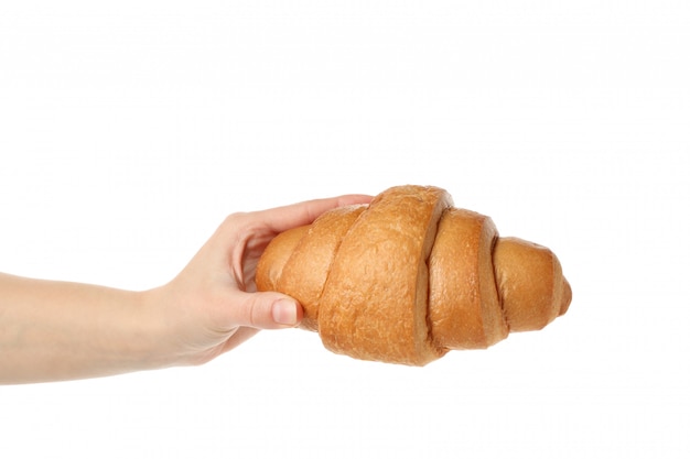 Female hand holding croissant, isolated on white background