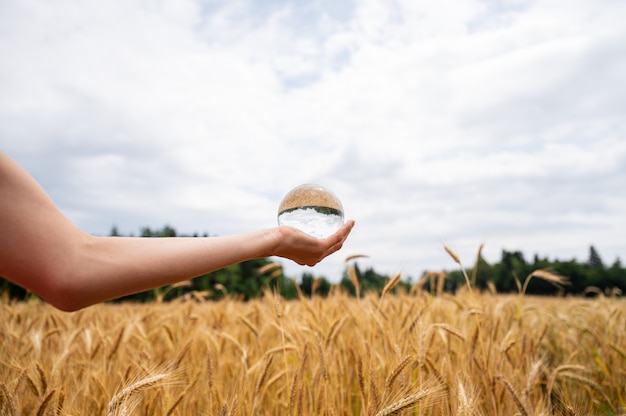 Female hand holding crystal ball above a golden wheat field ripening in summer reflecting in the sphere