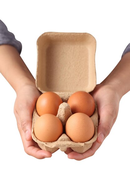 Female hand holding egg on white background