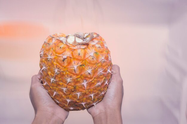 female hand holding fresh pineapple fruit, cool outer skin, clipping path