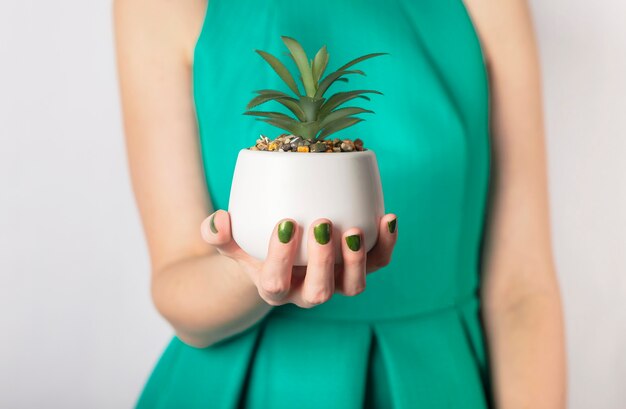 Female hand holding green plant in pot. Woman in green dress and with green nails.