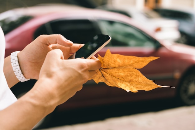 Mano femminile che tiene un telefono cellulare e il primo piano caduto della foglia di autunno