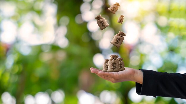 Borsa dei soldi della tenuta della mano femminile e concetto finanziario del fondo verde della natura della sfuocatura