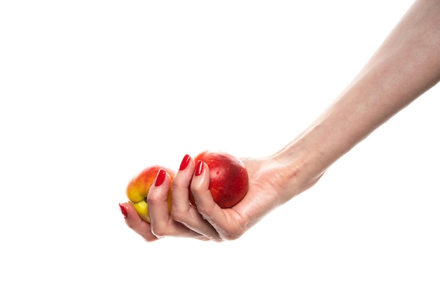 Female hand holding a nectarine white background