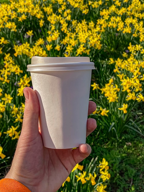Female hand holding a paper cup of coffee in front of yellow daffodils