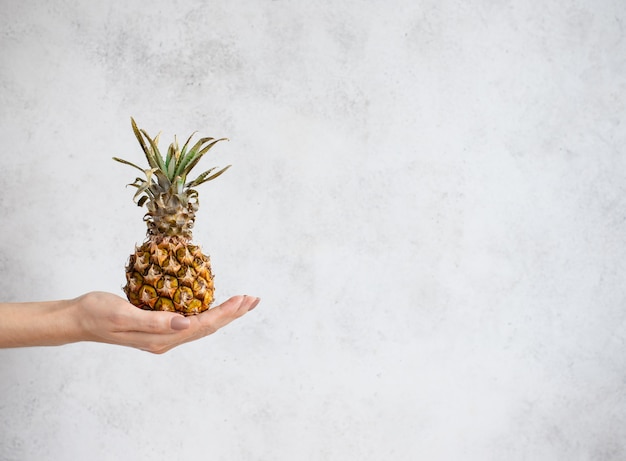 Female hand holding a ripe baby pineapple. light gray background, copy space