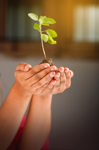 黒の背景に小さな植物を持っている女性の手