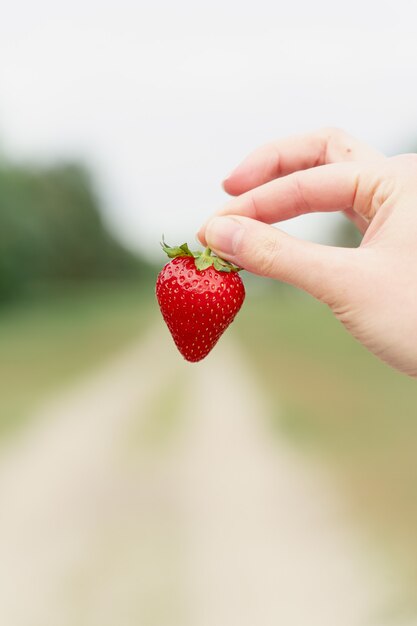 Female hand holding strawberry on blurred green background