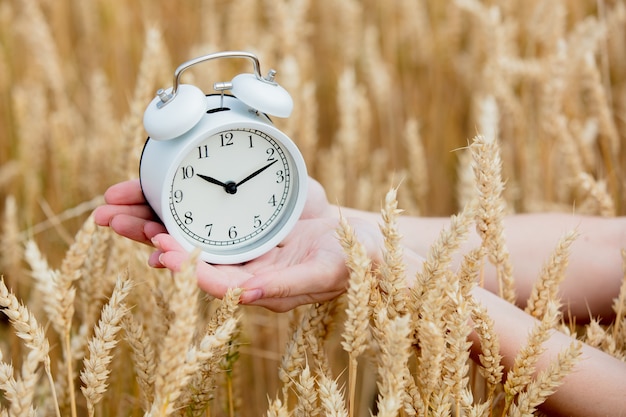 Foto mano femminile che tiene sveglia vintage sul campo di grano