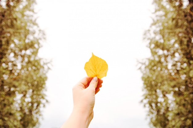 Female Hand holding a yellow leaf against the sky and trees Fall concept