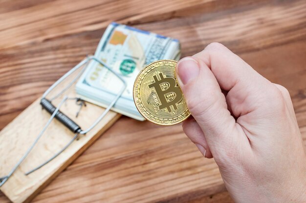 Female hand holds coin of bitcoin over table with mousetrap and money Ebusiness concept