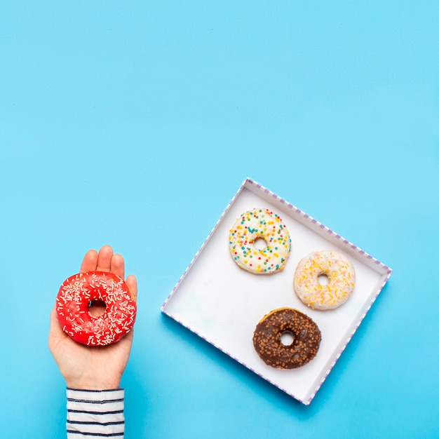 여성 손 파란색에 도넛을 보유하고있다. 개념 제과점, 파이, 커피 숍.