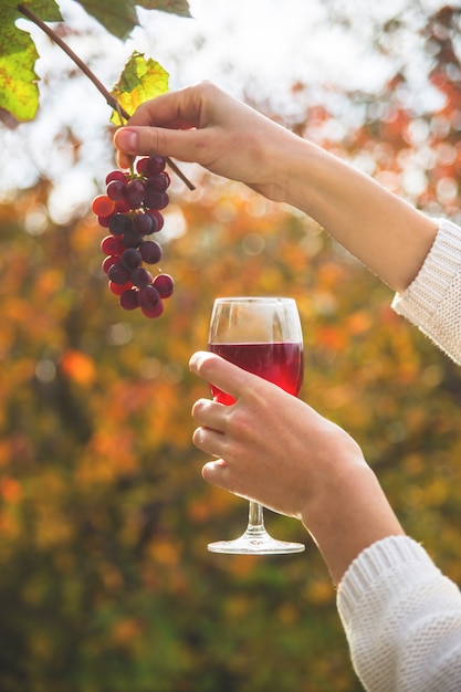 A female hand holds a glass of wine next to a bunch of grapes.