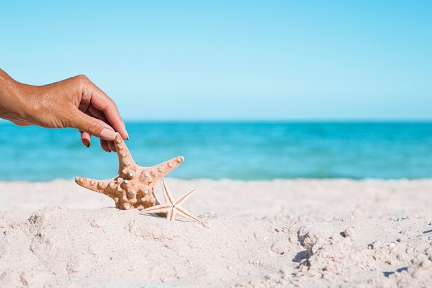 Female hand holds starfish on a sandy beach. Vacation concept.