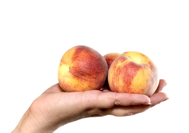 Female hand holds three peaches on a white background closeup